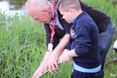 pond-dipping-01