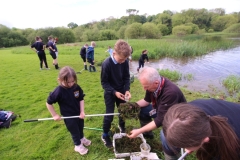 pond-dipping-03